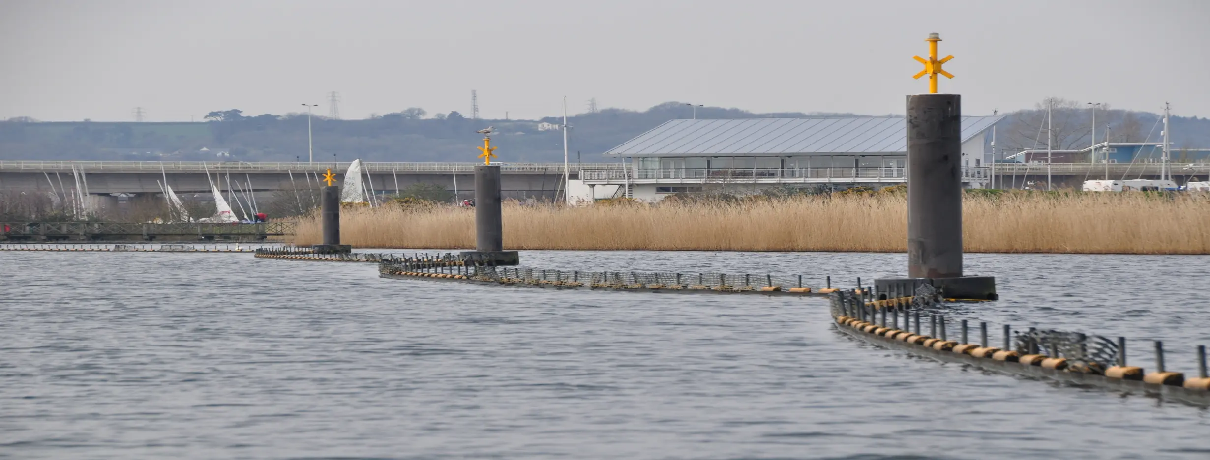 Image for Wetlands Reserve